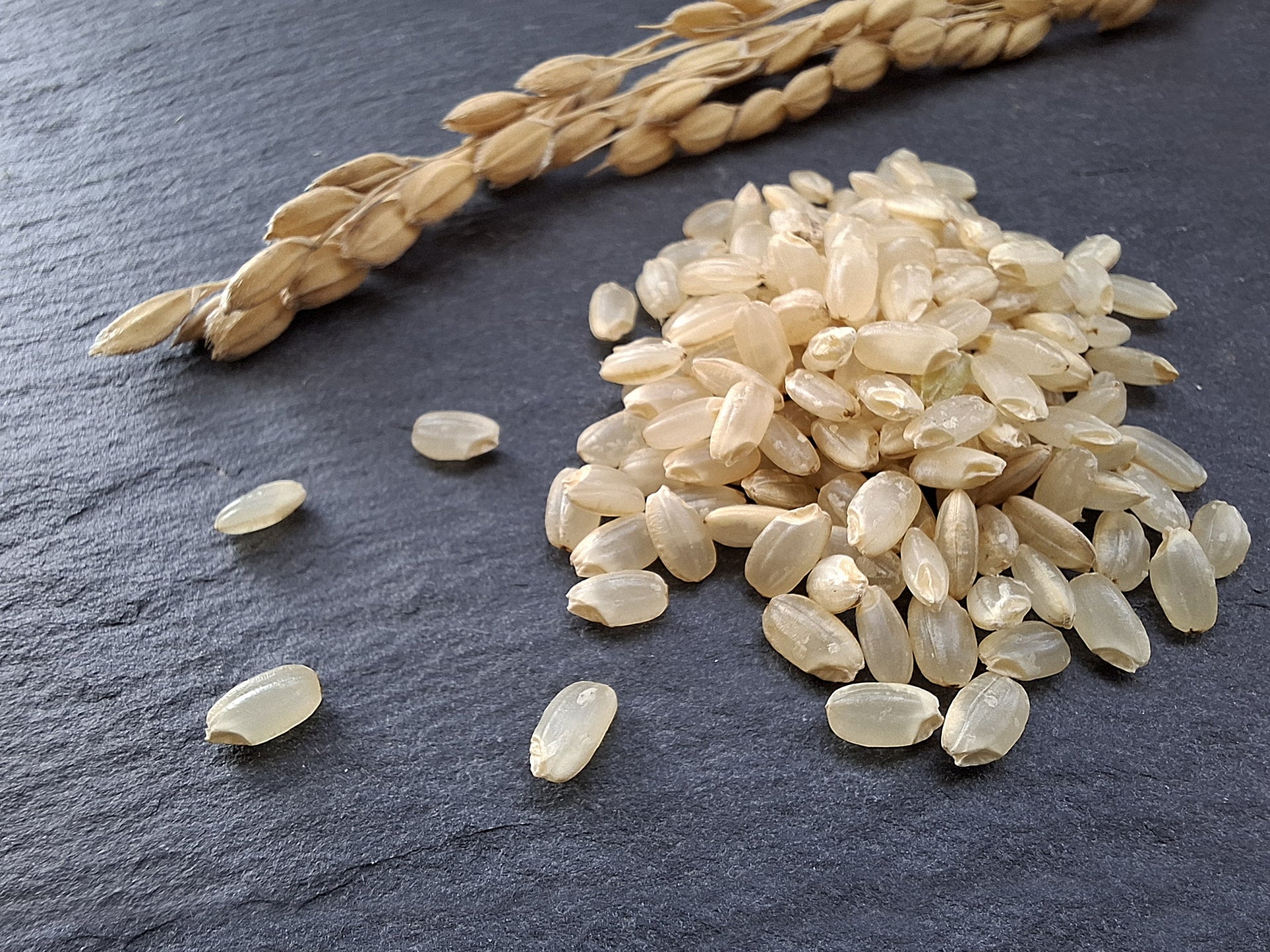 淡路島産米 ヒノヒカリ(玄米) - The Farm