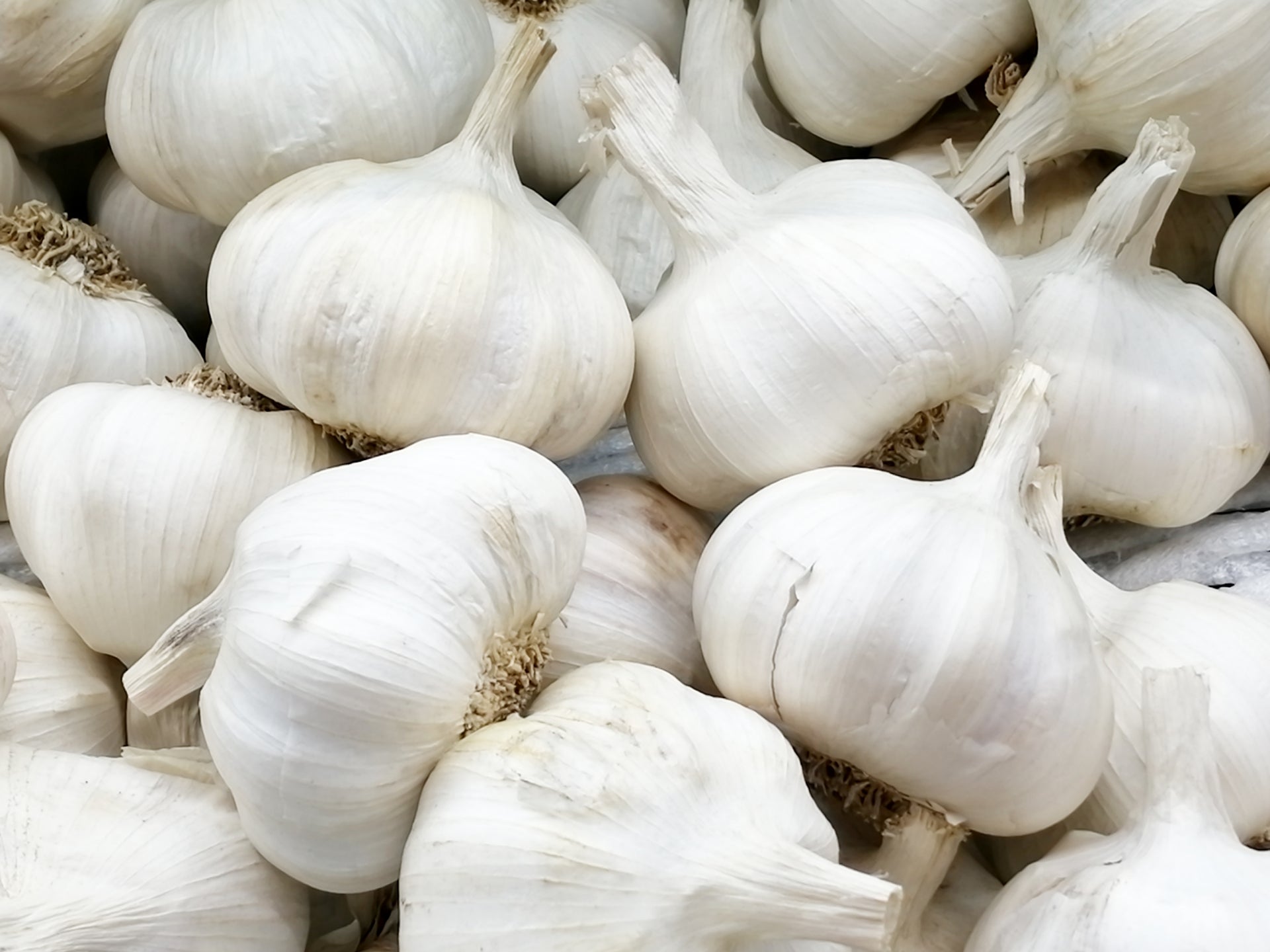 淡路島産にんにく - The Farm