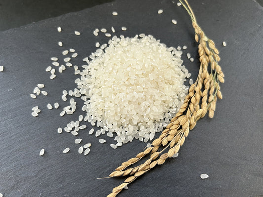 淡路島産米 ヒノヒカリ（精米） - The Farm